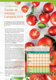 Tomate de industria