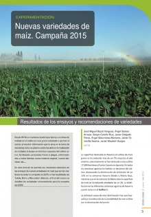 Nuevas variedades de maíz. 