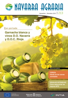 Toda la información en un solo link