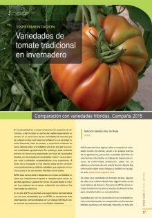 Variedades de tomate tradicional