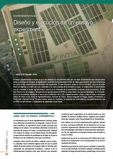 Diseño y ejecución de un ensayo experimental