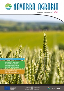 Toda la información en un solo link