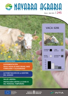 Toda la información en un solo link