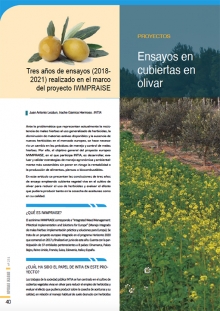 Ensayos en cubiertas en olivar