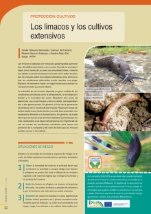 Los limacos y los cultivos extensivos