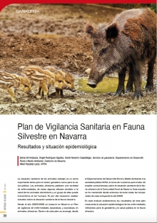 Plan de Vigilancia