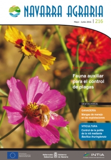 Toda la información en un solo link