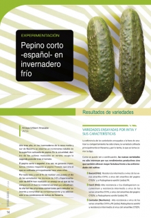 Pepino corto