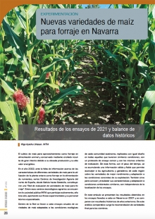 Nuevas variedades de maíz de forraje en Navarra