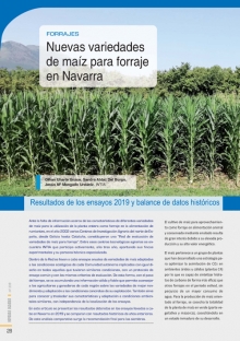 Nuevas variedades de maíz para forraje 