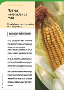 Nuevas variedades de maíz