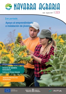 Toda la información en un solo link