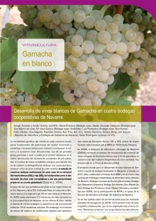 Garnacha 