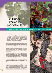 Tempranillos 