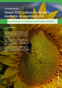 Girasol 