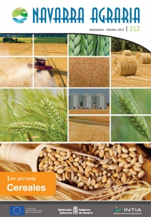 Toda la información en un solo link