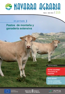 Toda la información en un solo link