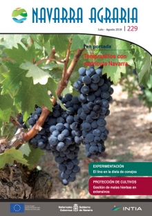 Toda la información en un solo link