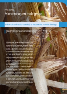 Micotoxinas en maíz grano