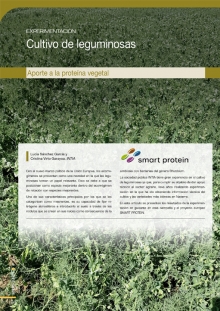 Cultivo de leguminosas