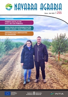 Toda la información en un solo link