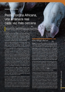 Peste Porcina Africana