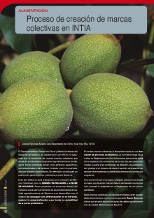 Proceso de creación de marcas colectivas en INTIA