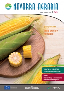 Toda la información en un solo link