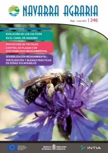 Toda la información en un solo link