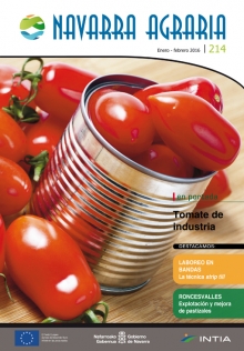 Toda la información en un solo link