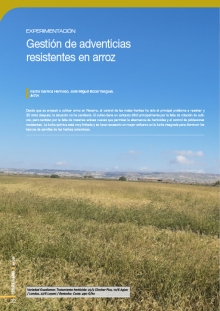 Gestión de adventicias resistentes en arroz