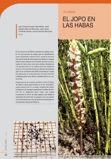 El Jopo en las habas