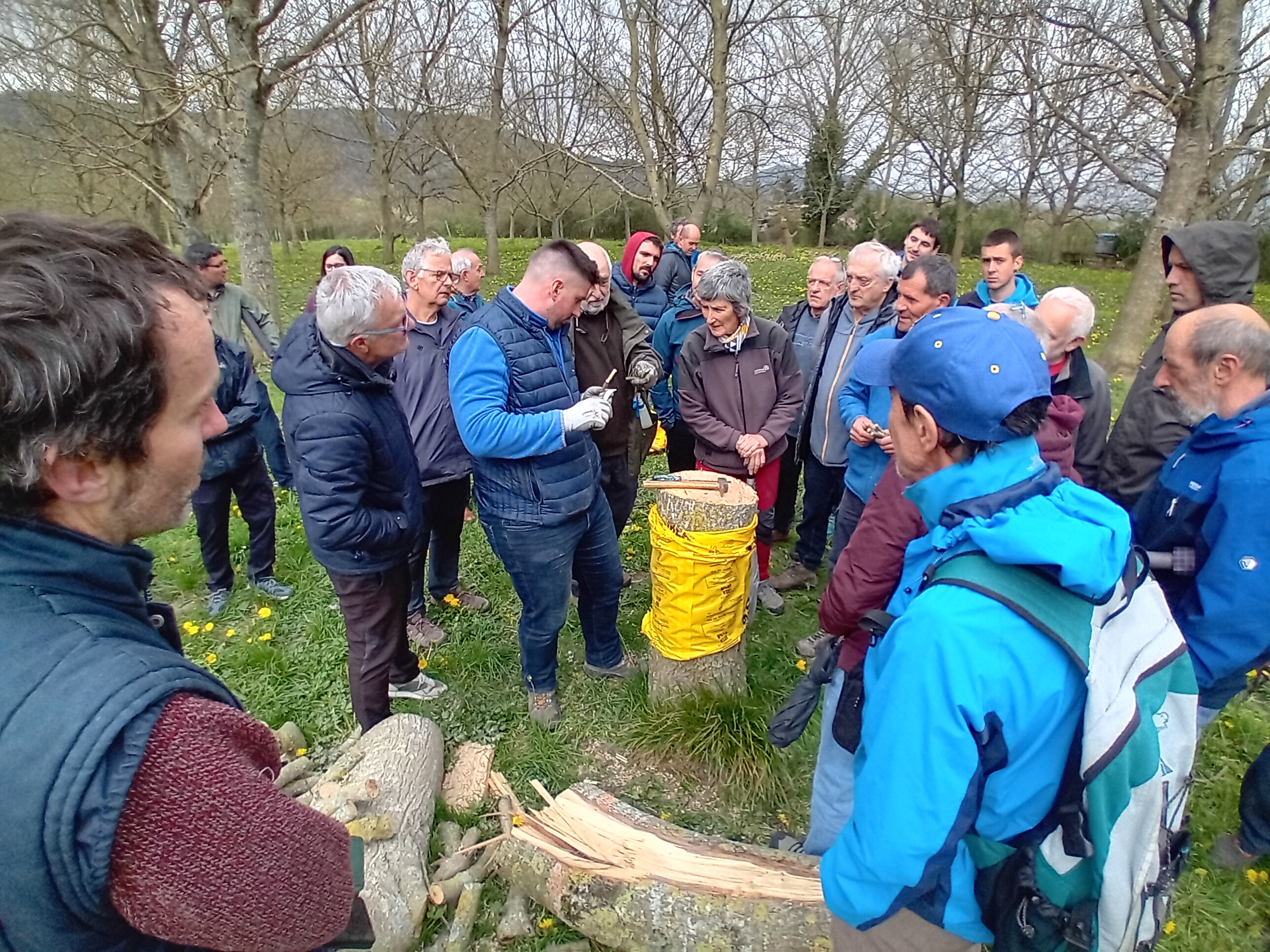 Éxito del curso de Poda de renovación e injertos sobre nogales en Hiriberri 