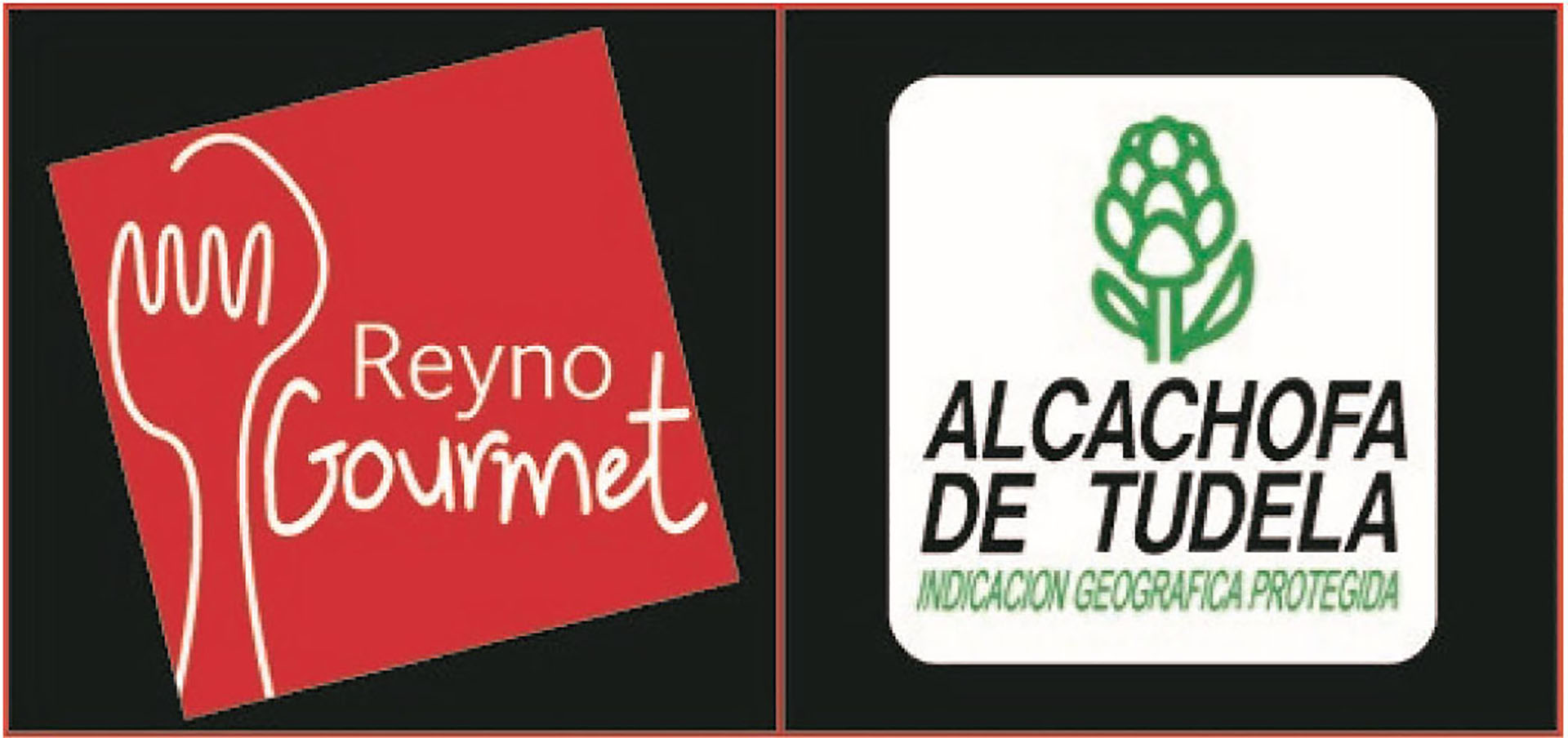 LogoAlcachofaTudela