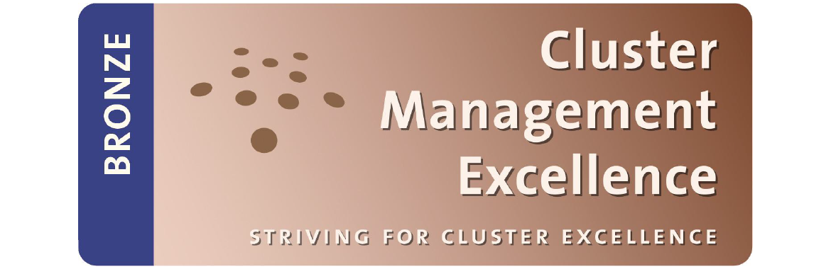 Certificado de Bronce ESCA