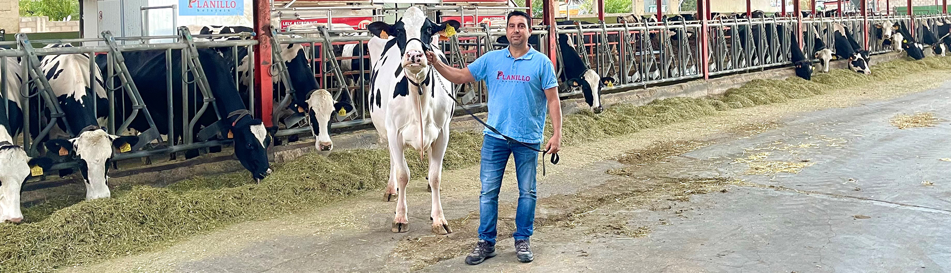 ExplotacionAndresPlanillo