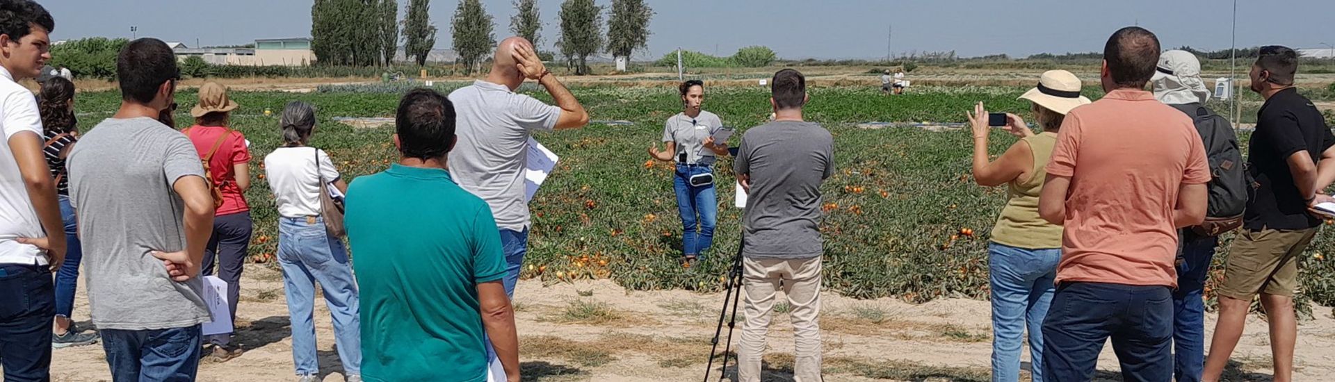 agricultura hortícolas