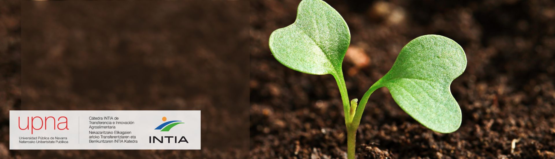 agricultura regenerativa