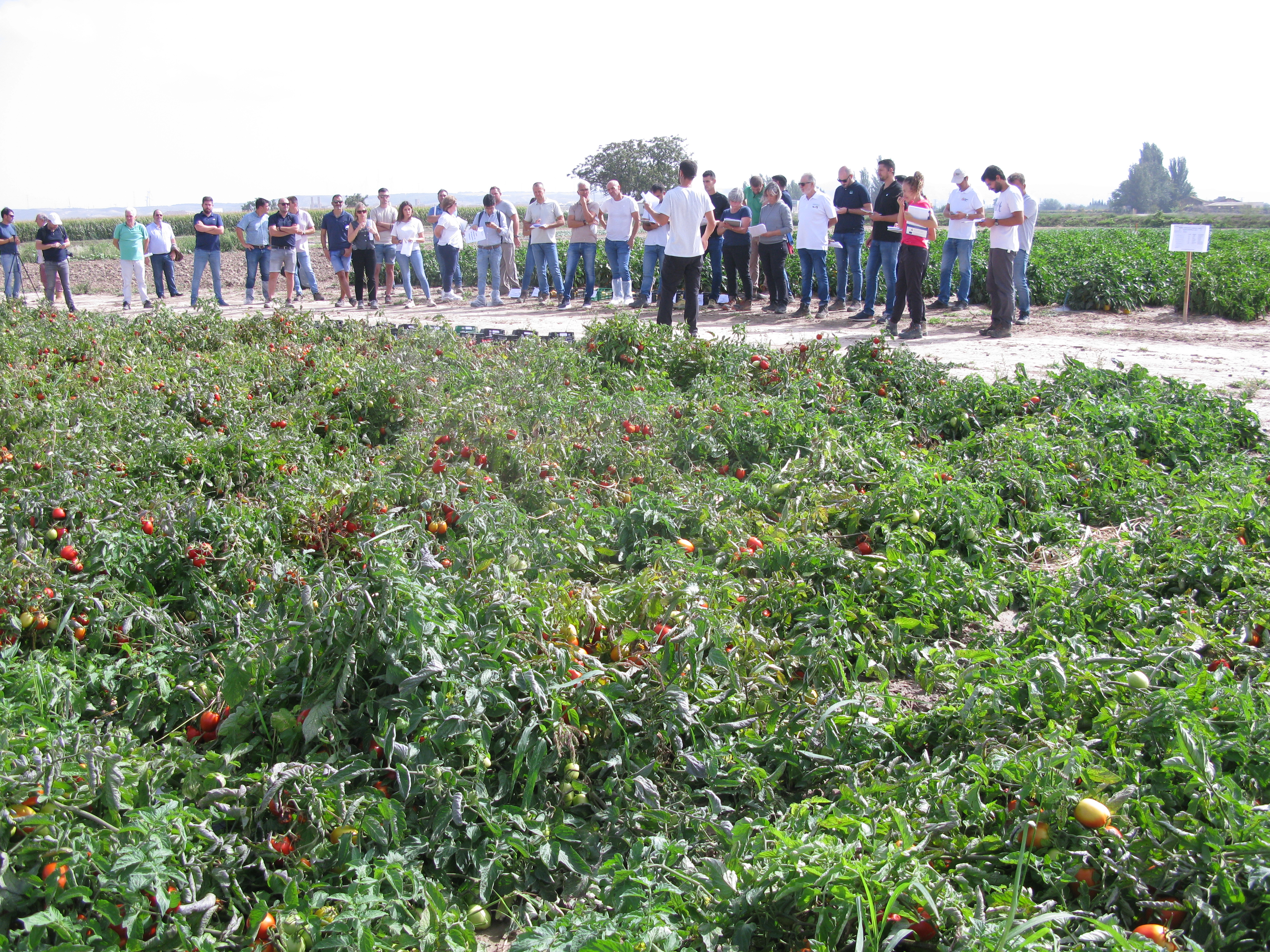 Especialistas en Horticultura