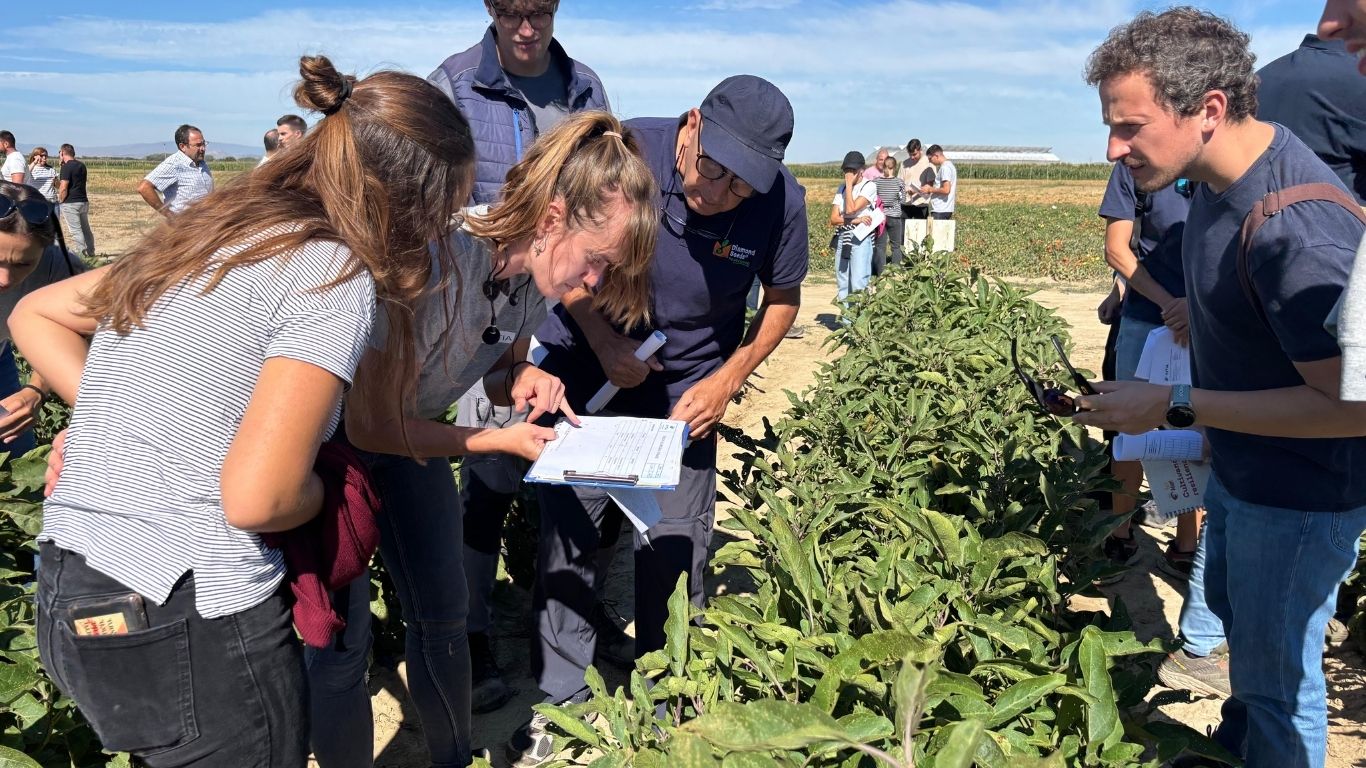 jornada de hortícolas de verano