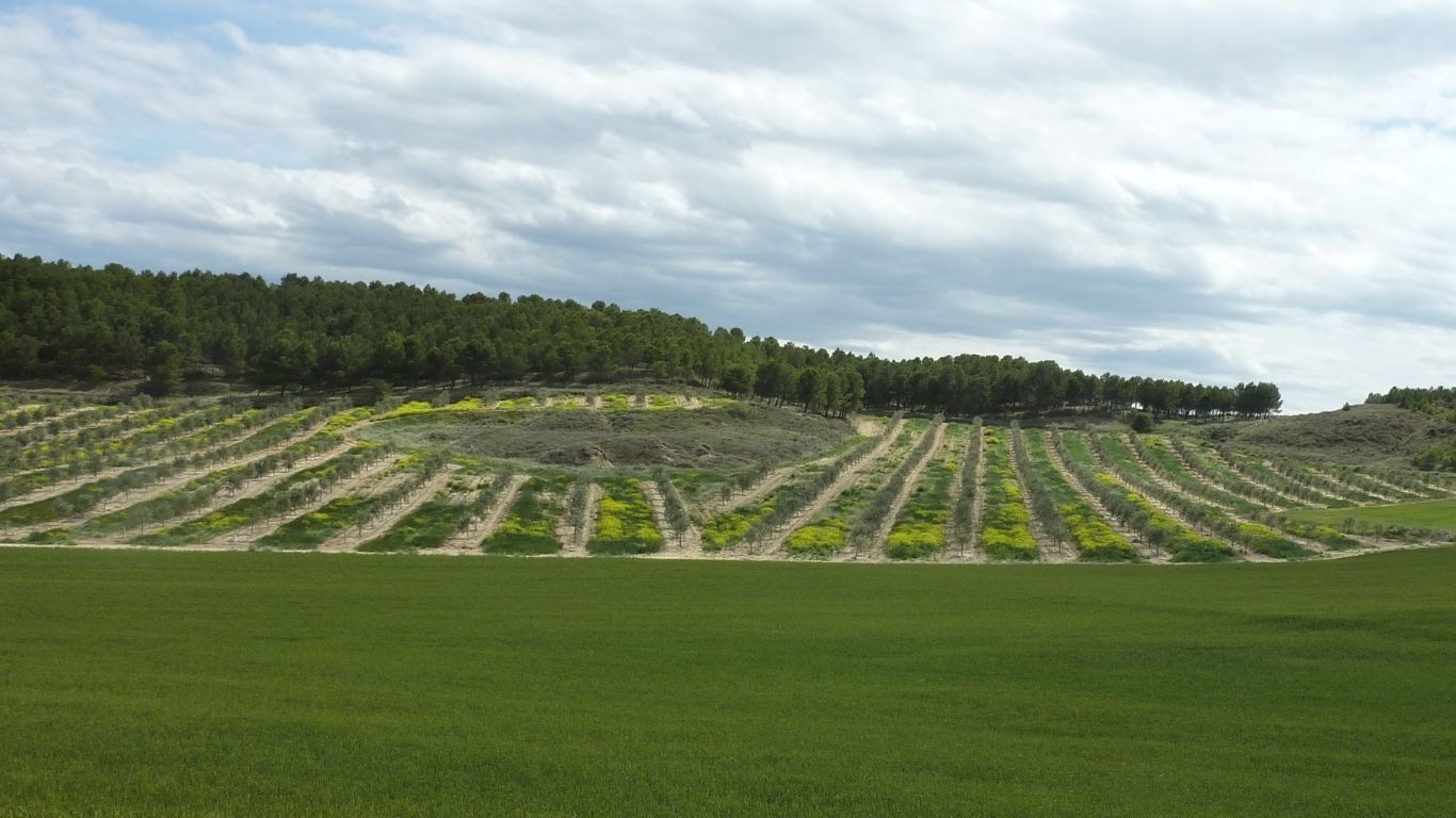 cubierta de larraga
