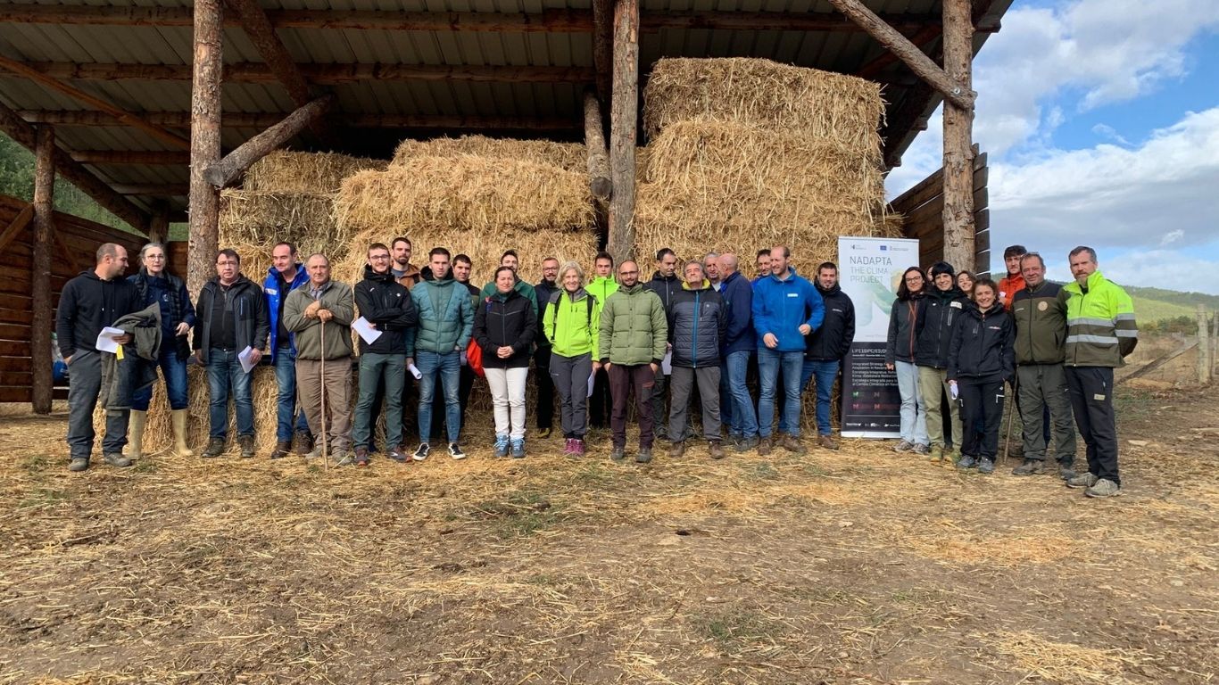 jornada silvopastoralismo