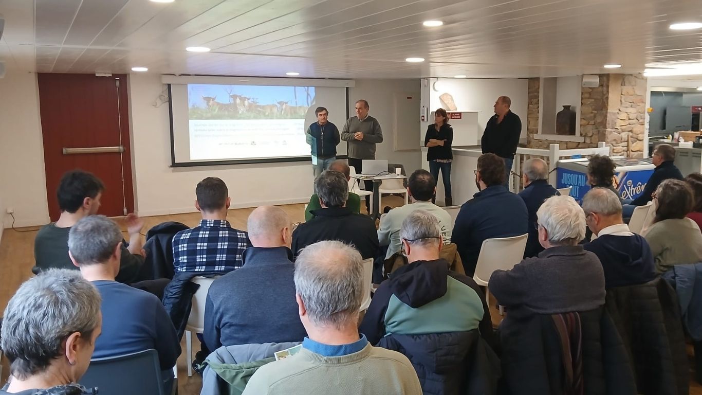 validación diagnostico de abena