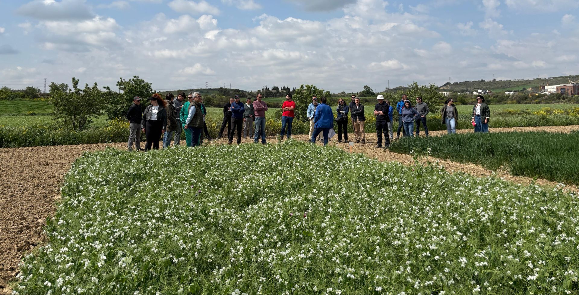 jornada de leguminosas cátedra UPNA-INTIA