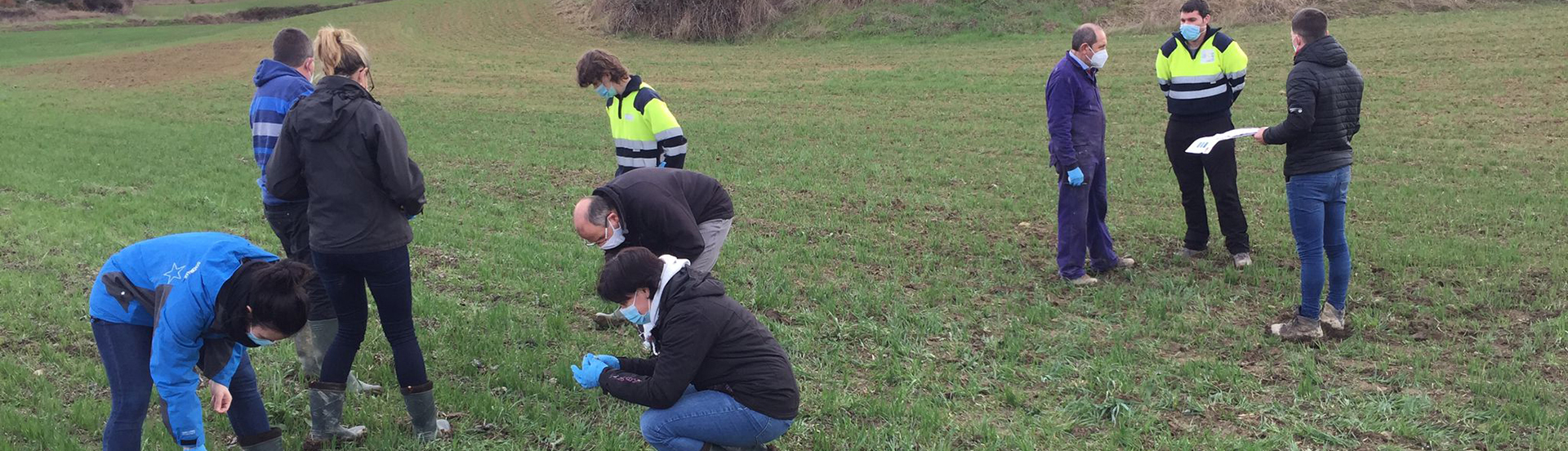 IdentificacionMalasHierbasCampo
