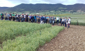 Más de 175 personas en las jornadas de campo que organiza INTIA sobre cultivos extensivos