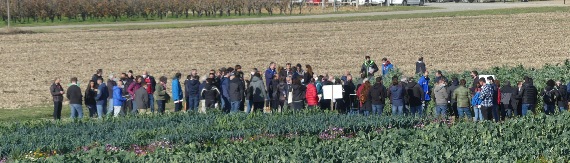 Jornada en CADREITA INTIA