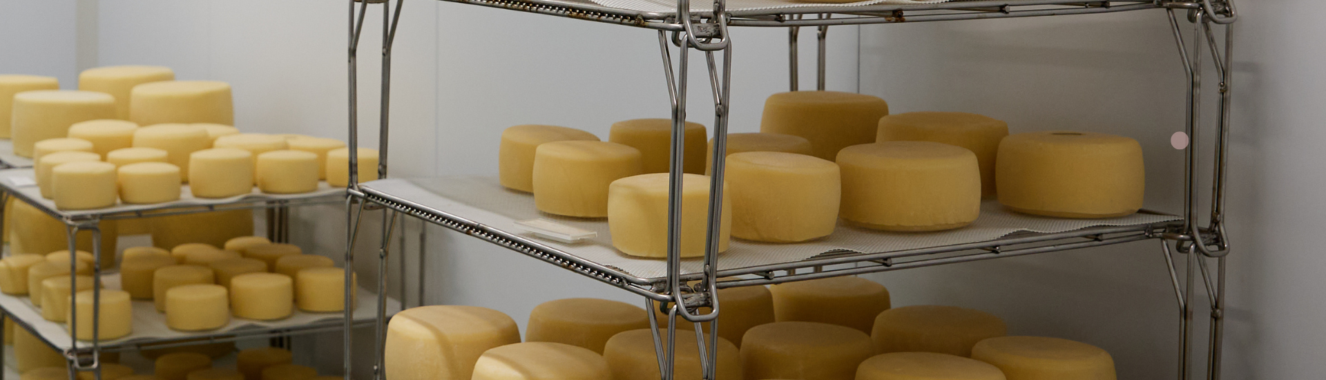 INTIA manzanos ecológico