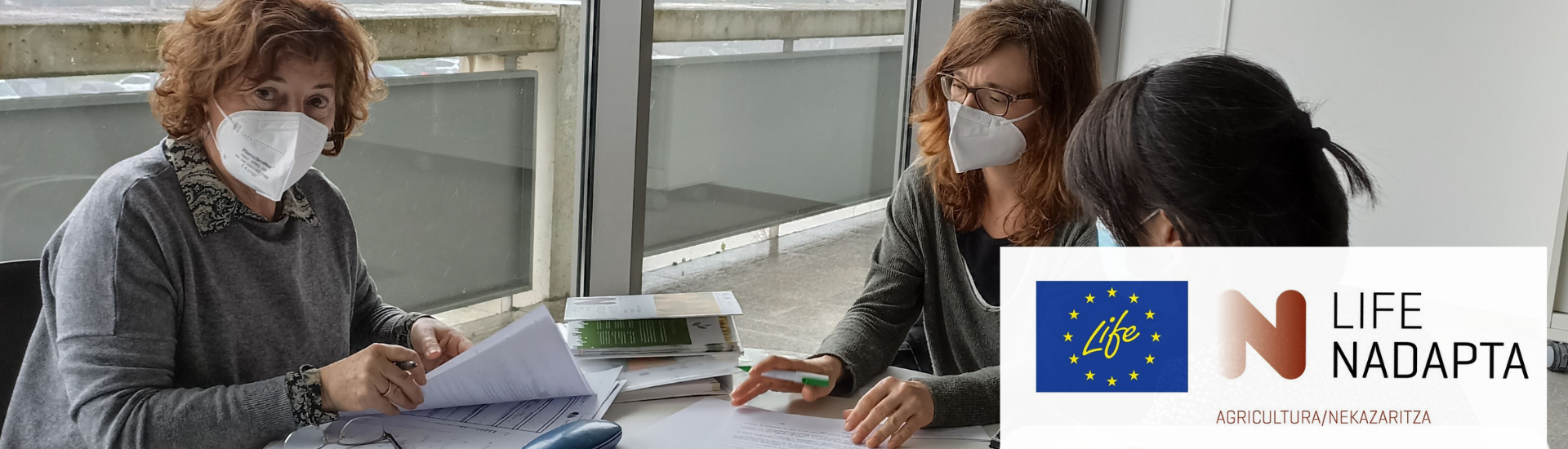 espárrago navarra madrid