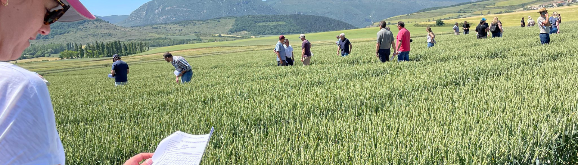 visitas ensayos INTIA